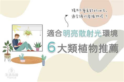 散射光 植物|只有間接光線的地方，可以養什麼植物呢？適合明亮散。